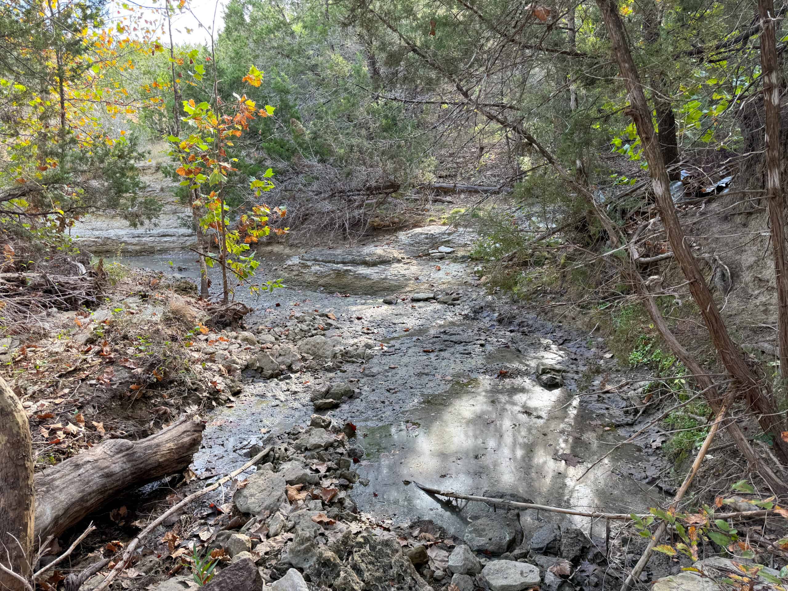 44.574 Acres of Central Texas Hunting Land for Sale