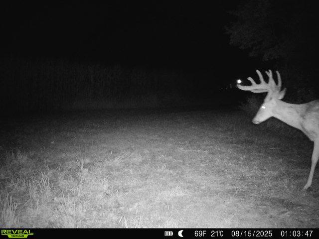 20± acre Sauk County Gem of a Property