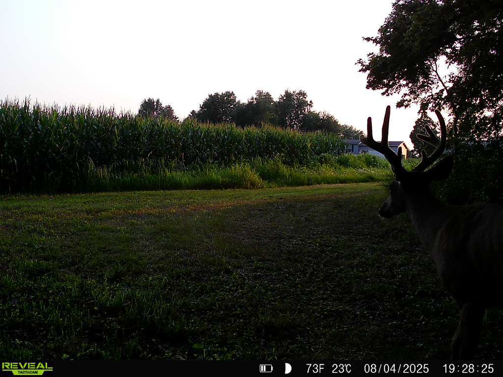 20± acre Sauk County Gem of a Property