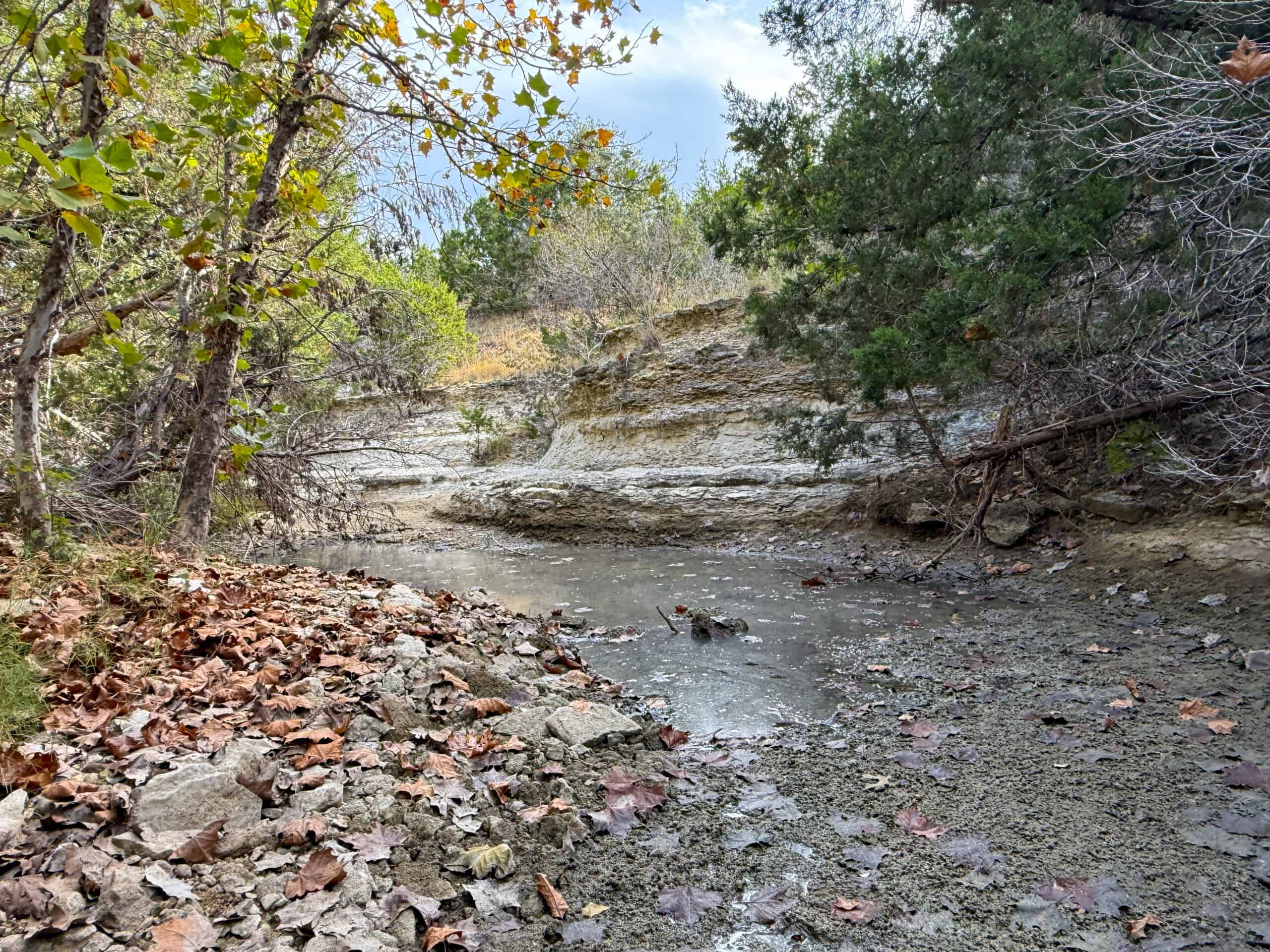 44.574 Acres of Central Texas Hunting Land for Sale