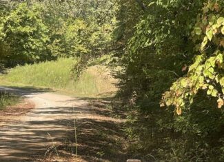 Premier Hunting & Recreation Property in Middleton, TN