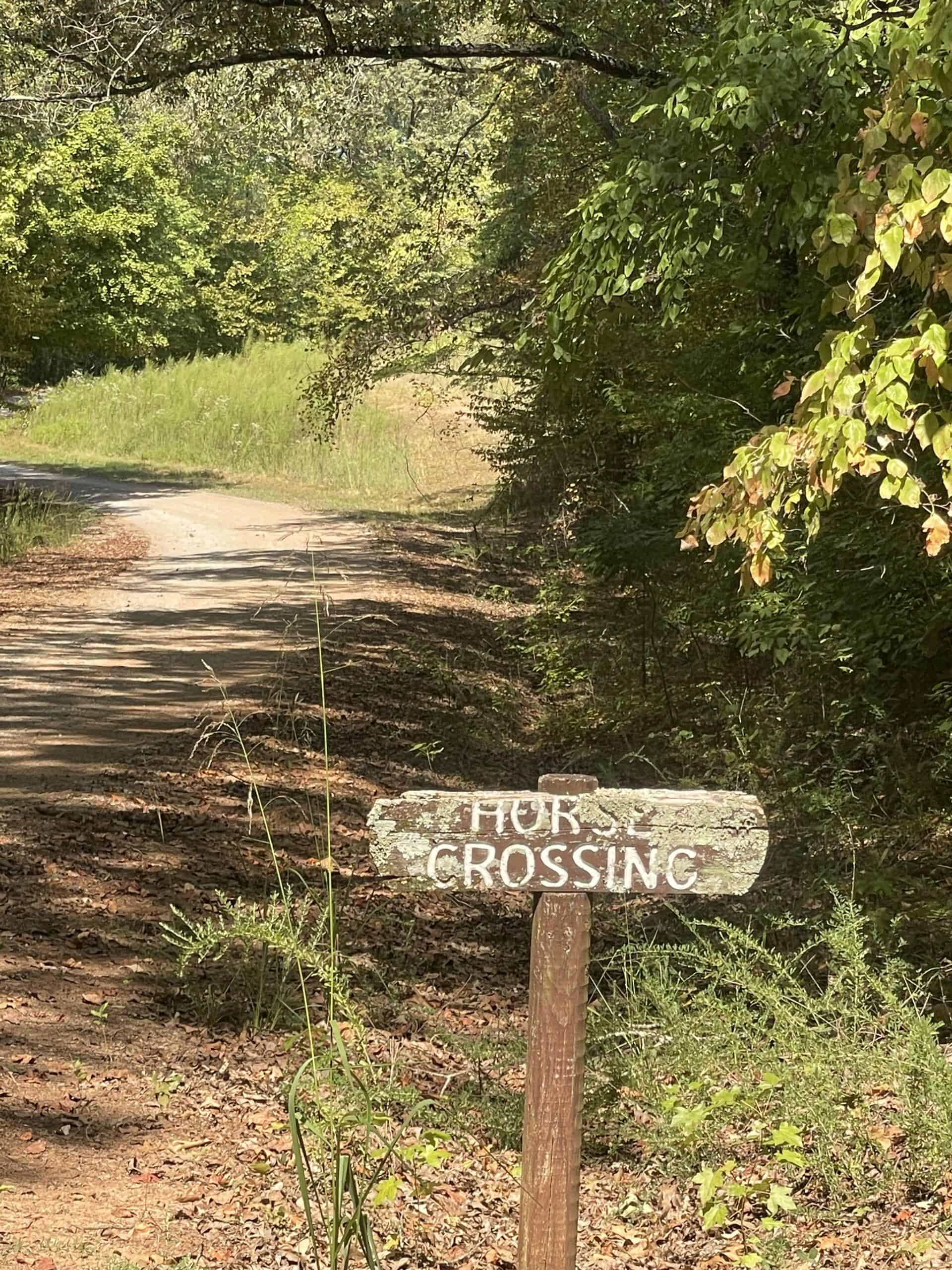 Premier Hunting & Recreation Property in Middleton, TN