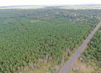40-acre timber tract in Adams County