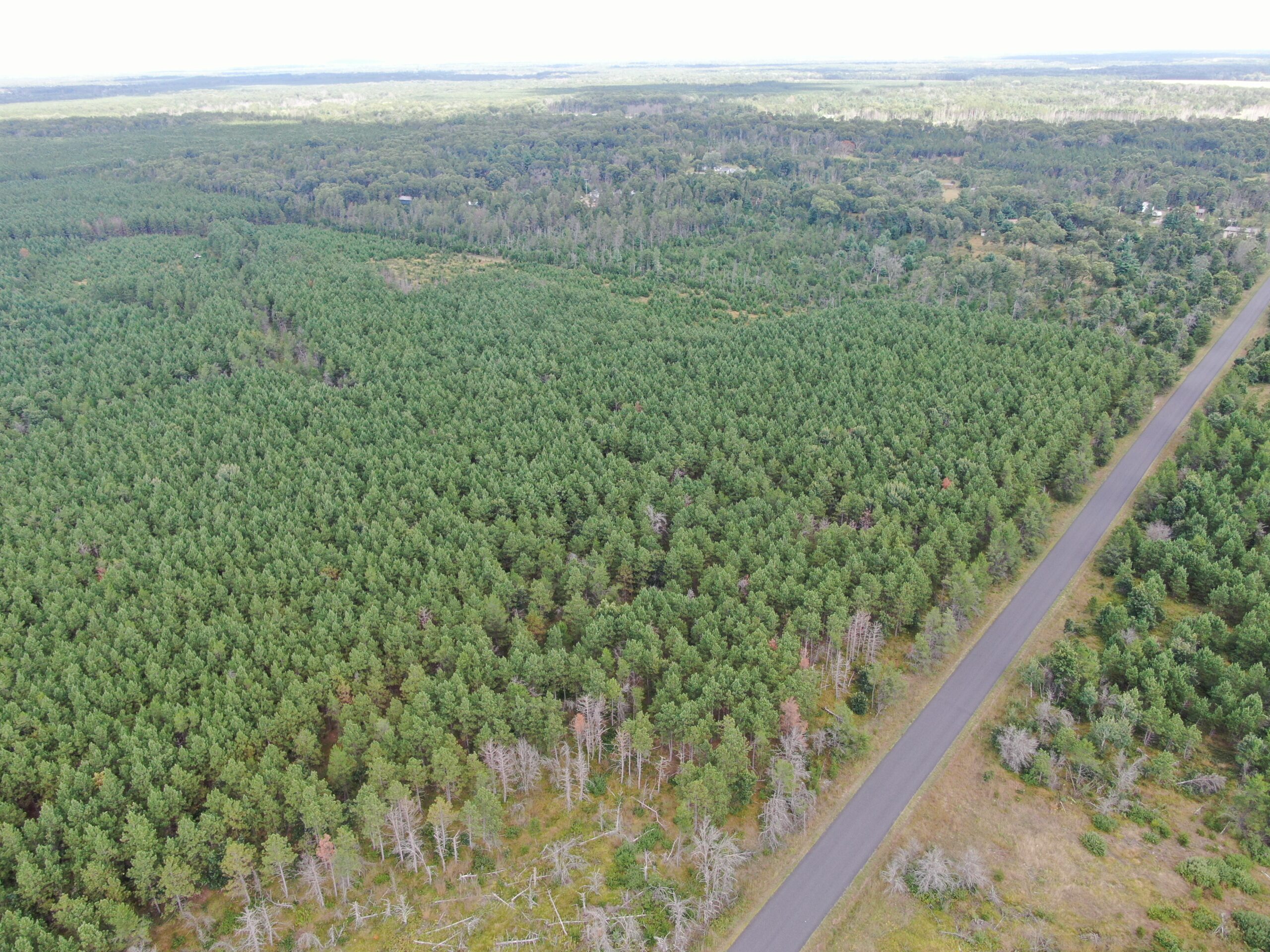 40-acre timber tract in Adams County