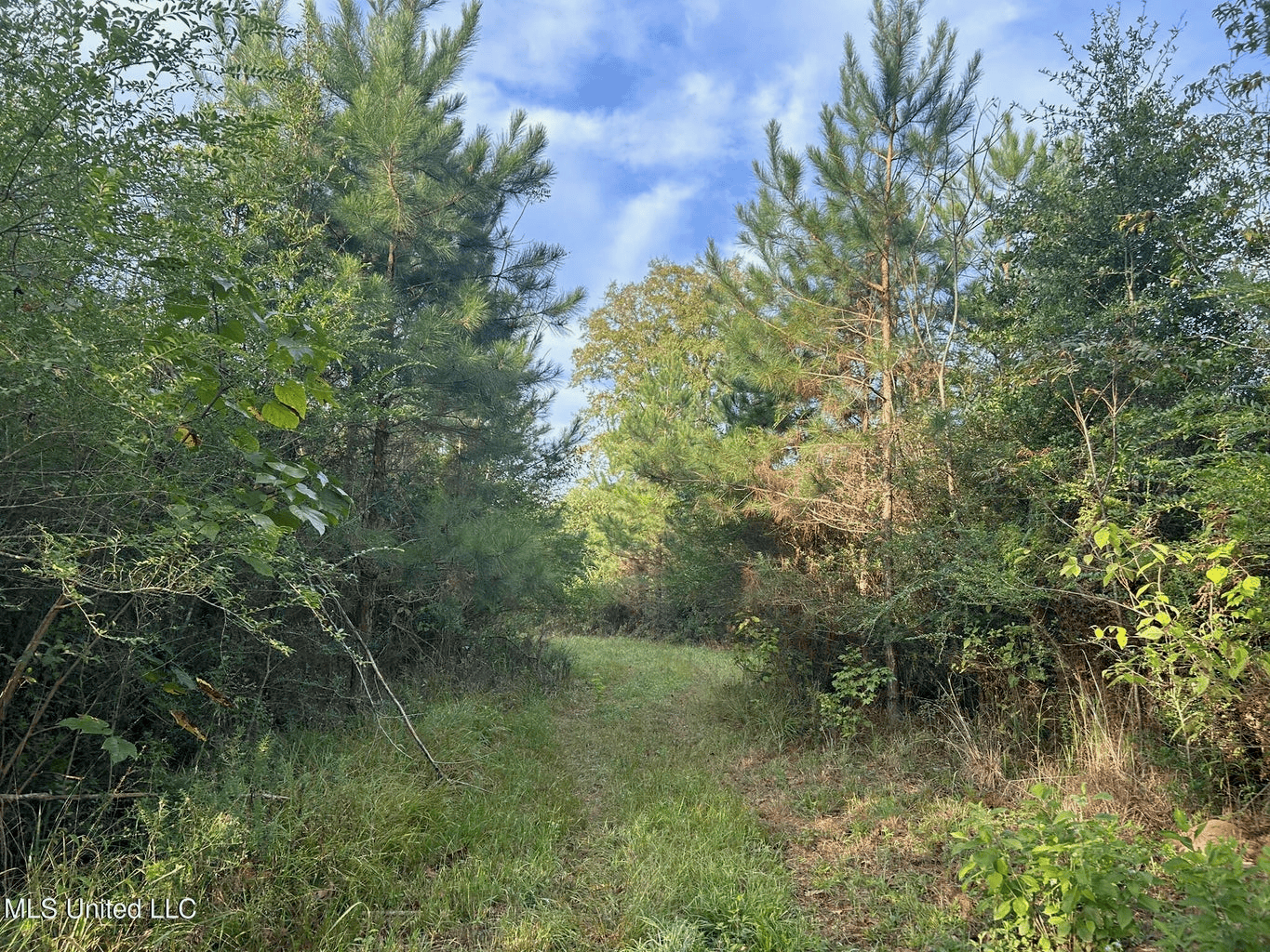 11.5+- Acres North Pike School District