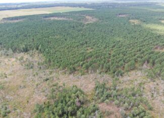 80-acre timber tract in Adams County
