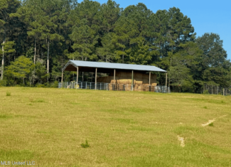 Rolling Hills Pastureland and Wooded land for sale