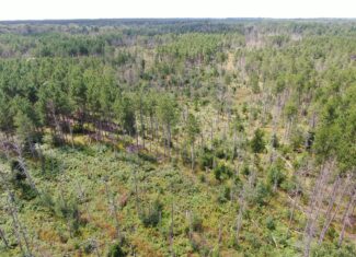 40-acre corner parcel in the Town of Monroe
