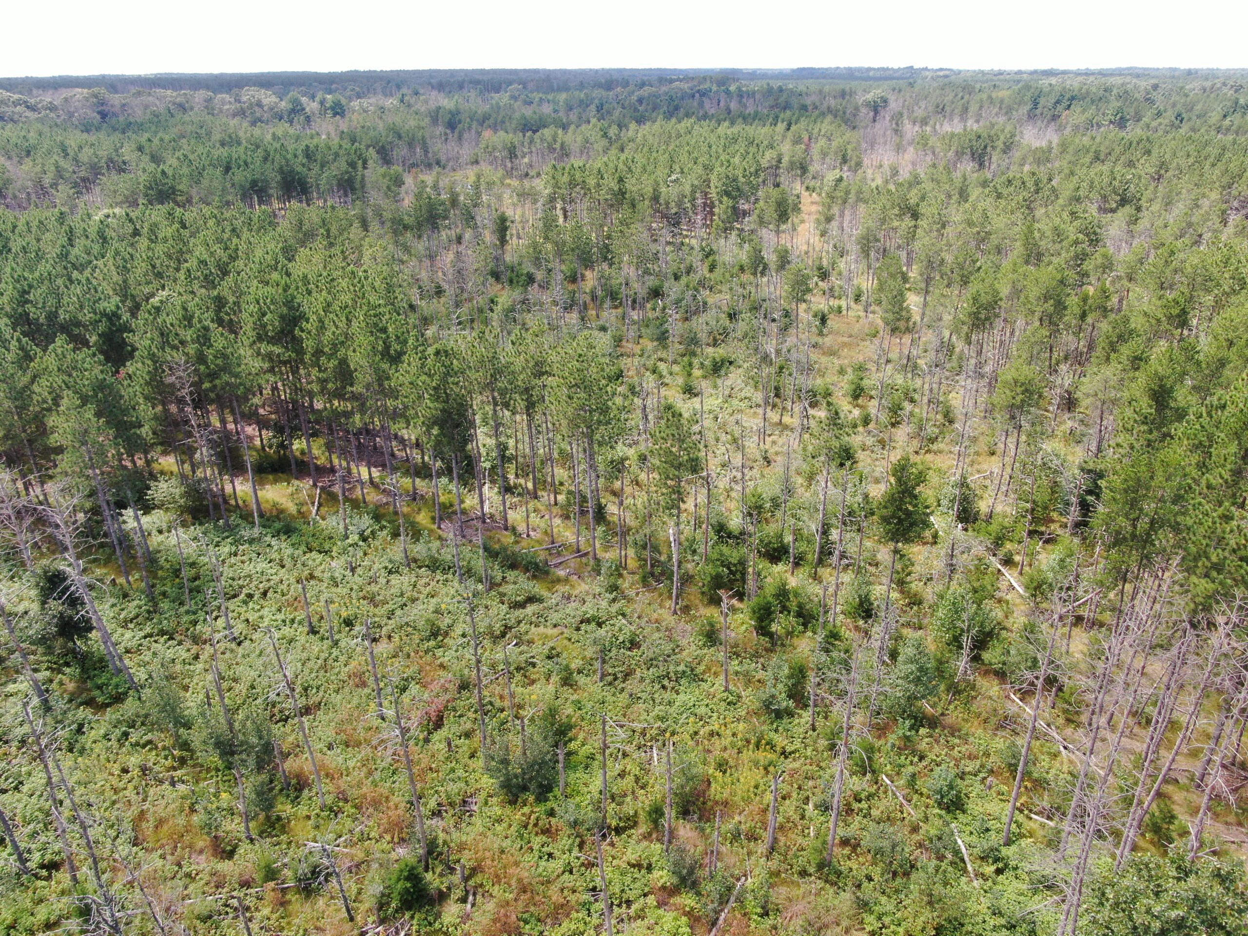 40-acre corner parcel in the Town of Monroe