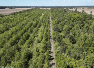 Tensas Parish Land Near Lake St. John – 80 Acres