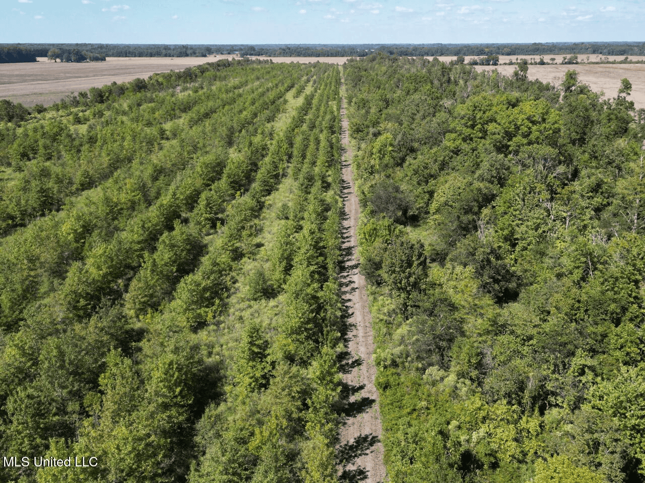 Tensas Parish Land Near Lake St. John – 80 Acres
