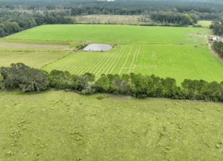 Prentiss MS Pasture Land for sale
