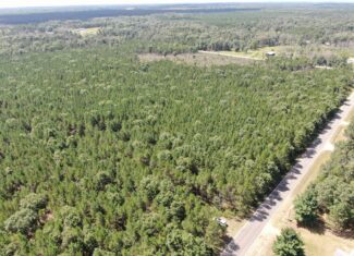 40-acre corner parcel in the Town of Big Flats, Adams County