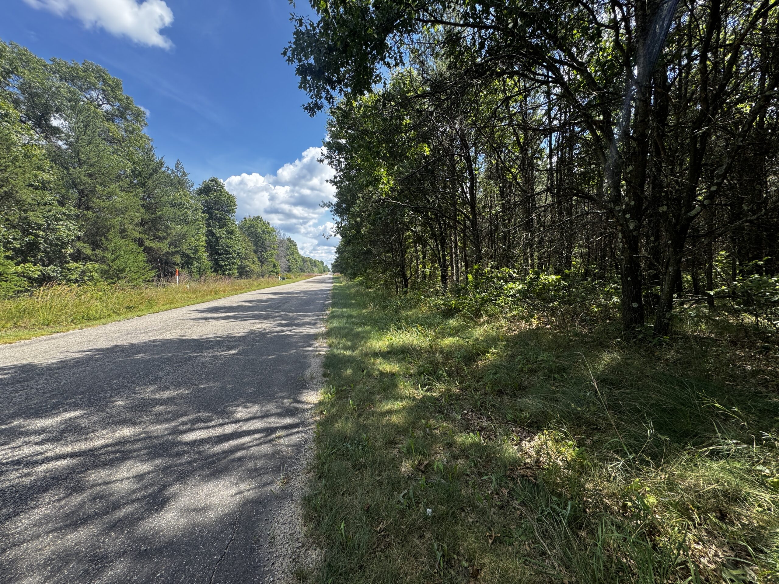 40-acre timbered tract in the Town of Big Flats