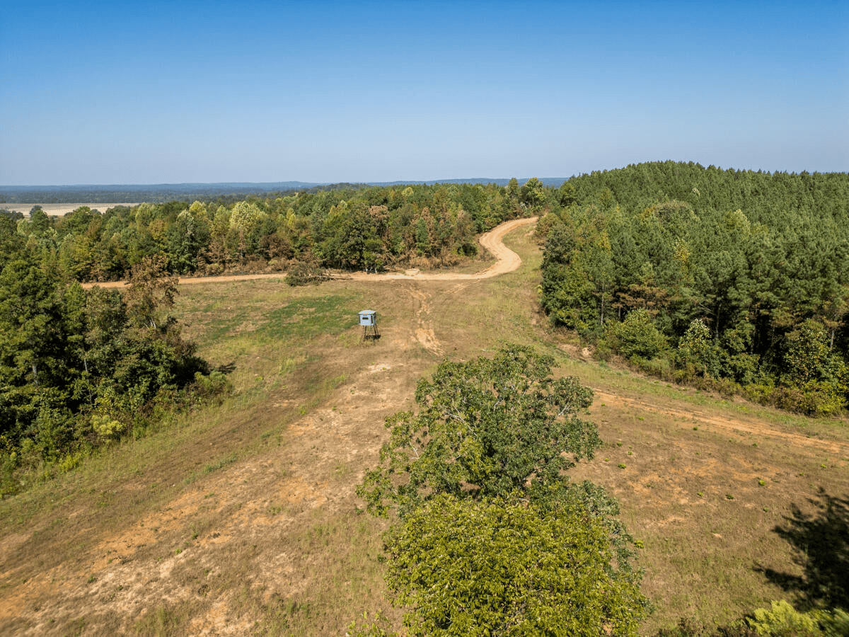 650 Acres Timberland and Lake Site Calhoun County MS