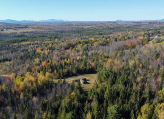 Maine Country Home on 36 Acres of Peace and Privacy