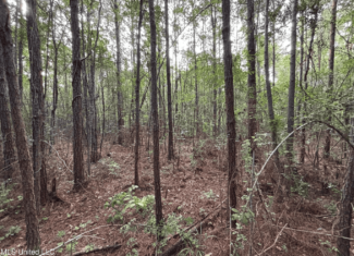 48 Acres for Sale in Jones County, MS Ellisvillle, MS