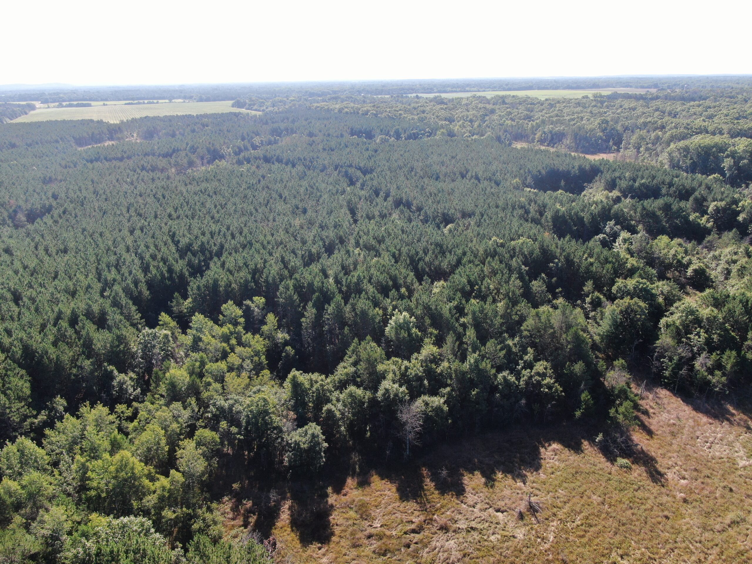80-acre timber tract in Adams County