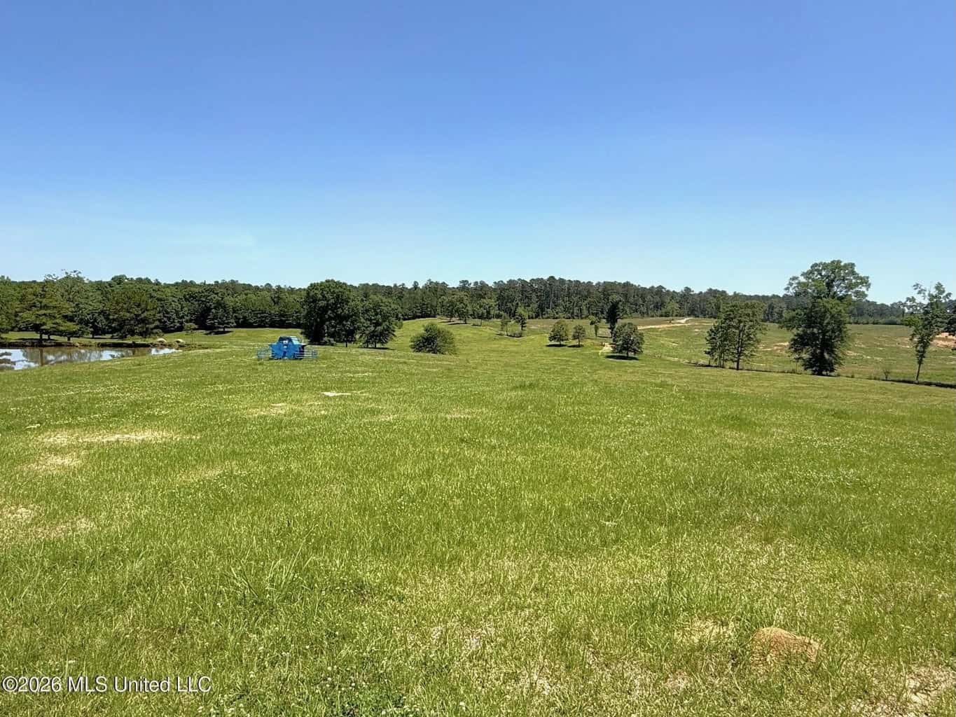 Rolling Hills Pastureland and Wooded land for sale