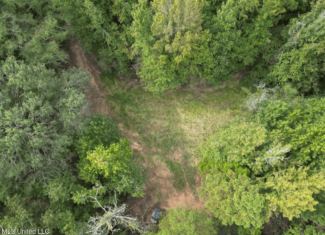 Hunting Land in Claiborne County, MS – The Sawmill 98