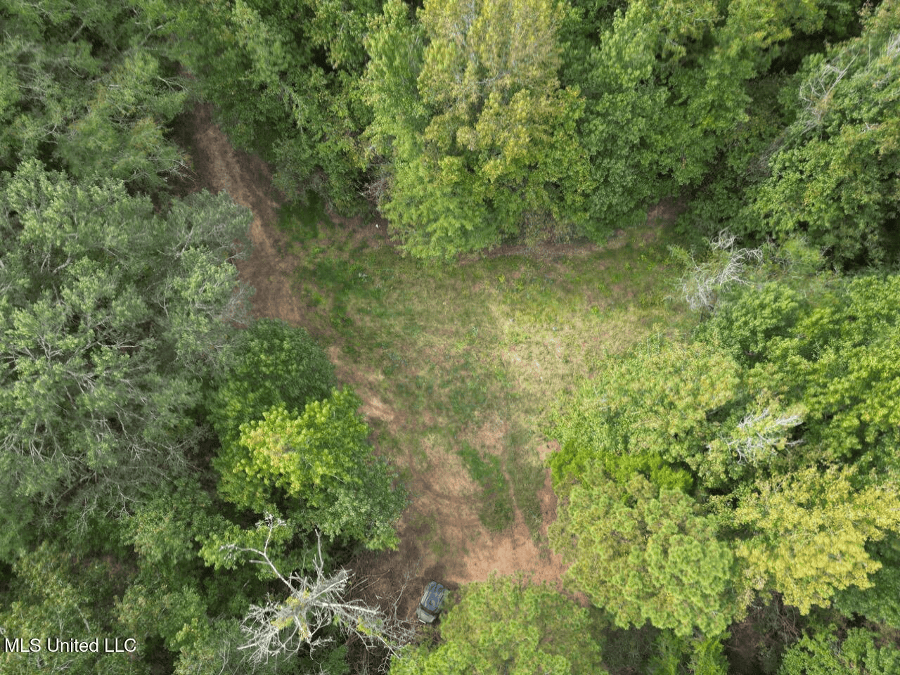 Hunting Land in Claiborne County, MS – The Sawmill 98