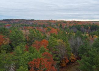 10 Acre Acreage on Quiet Dead End Road