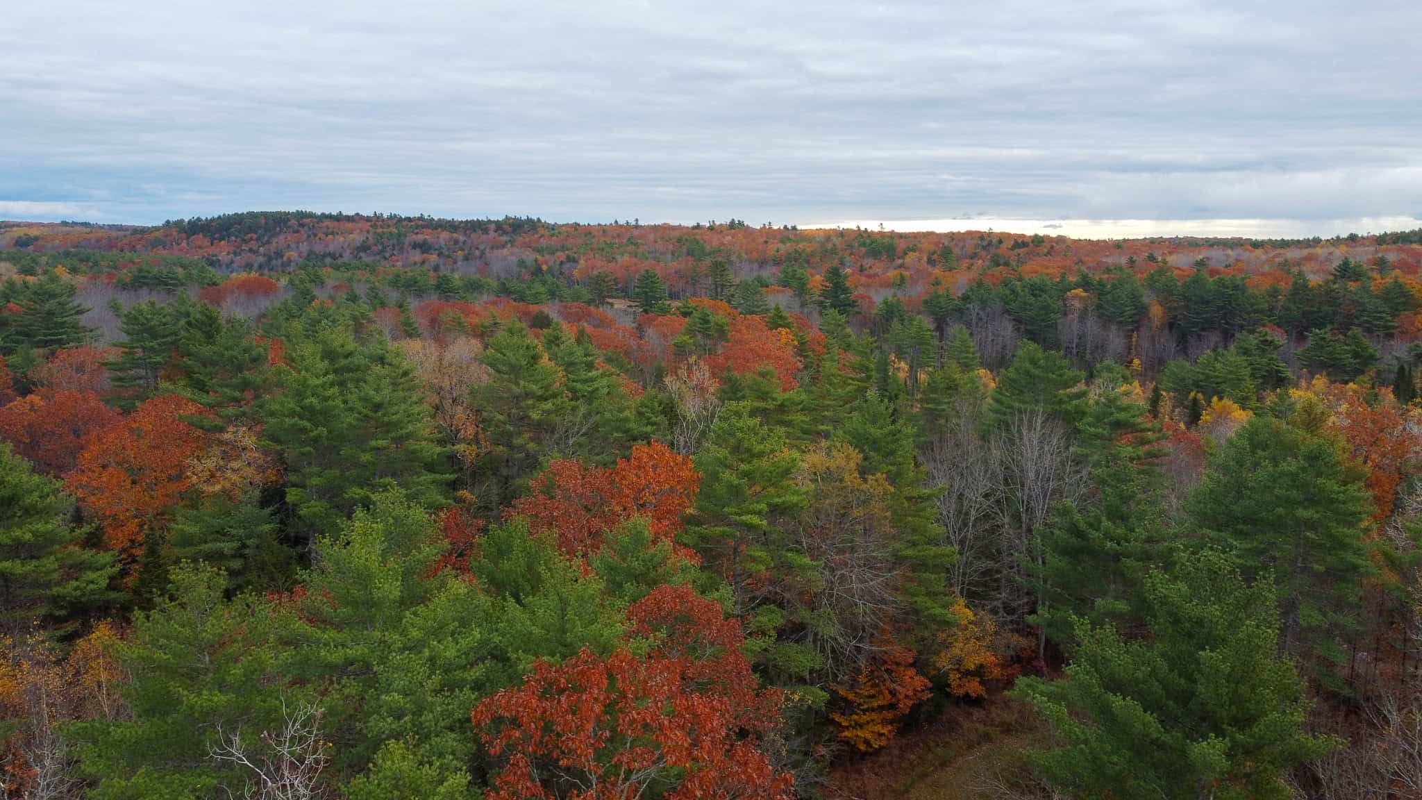 10 Acre Acreage on Quiet Dead End Road