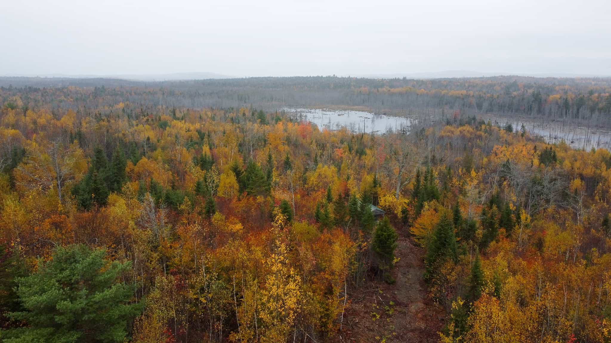 80± Acres Near the Coast – Pembroke, Maine