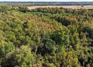 Yazoo River Hunting Tract 78.16 Acres