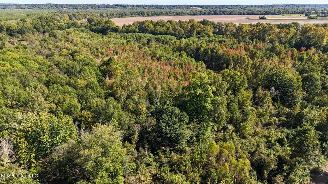 Yazoo River Hunting Tract 78.16 Acres