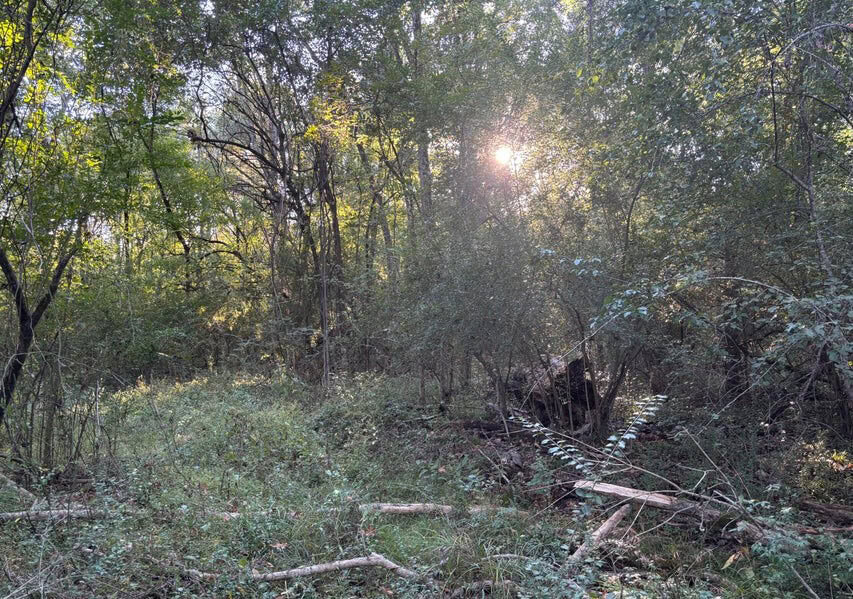 28 Acres for Sale South Jackson, Hinds County, MS