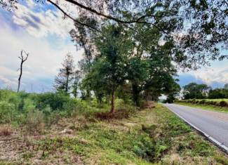 80 Acres in Walthall County