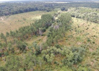 80-acre parcel in the Town of Big Flats