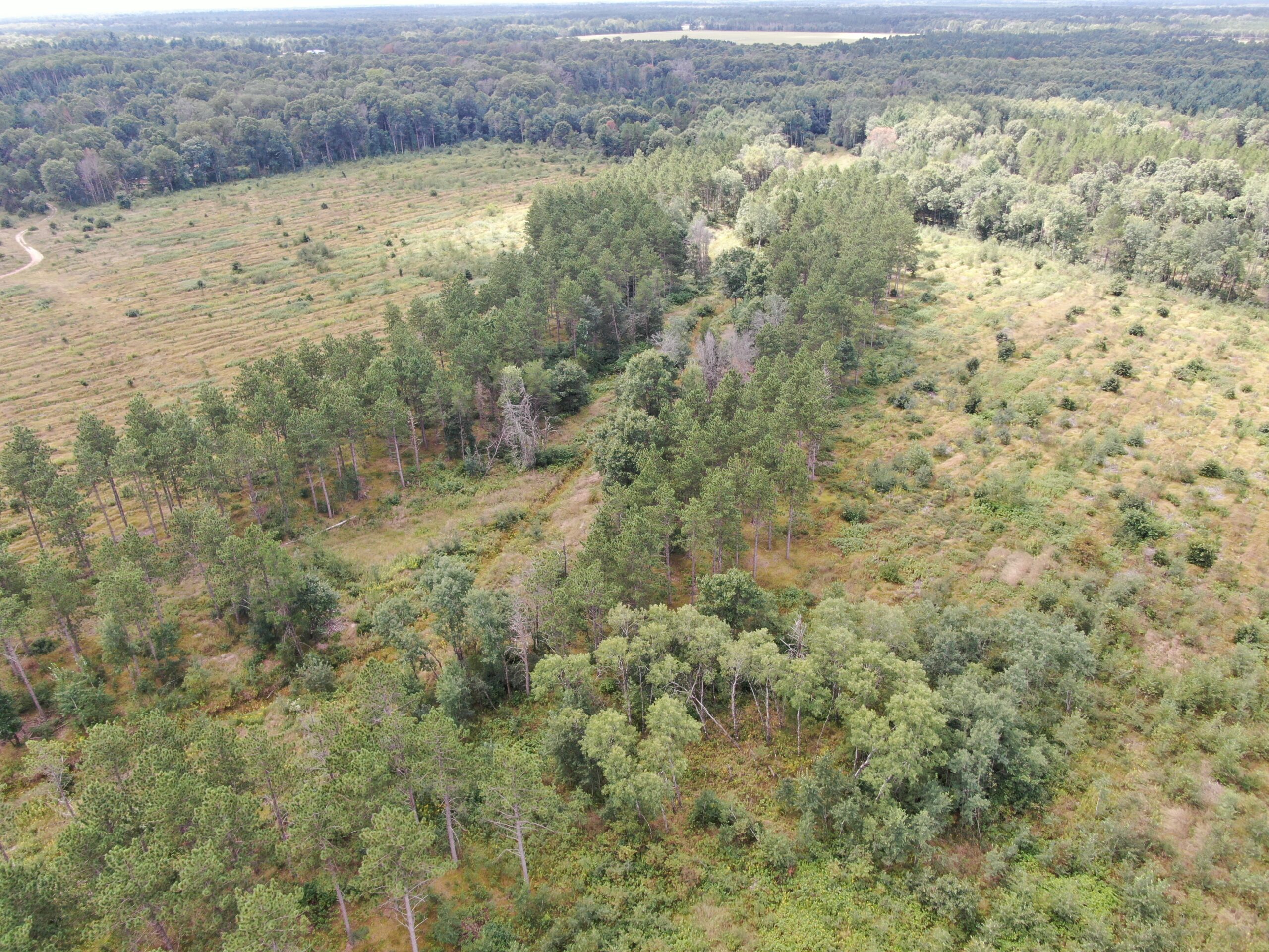 80-acre parcel in the Town of Big Flats