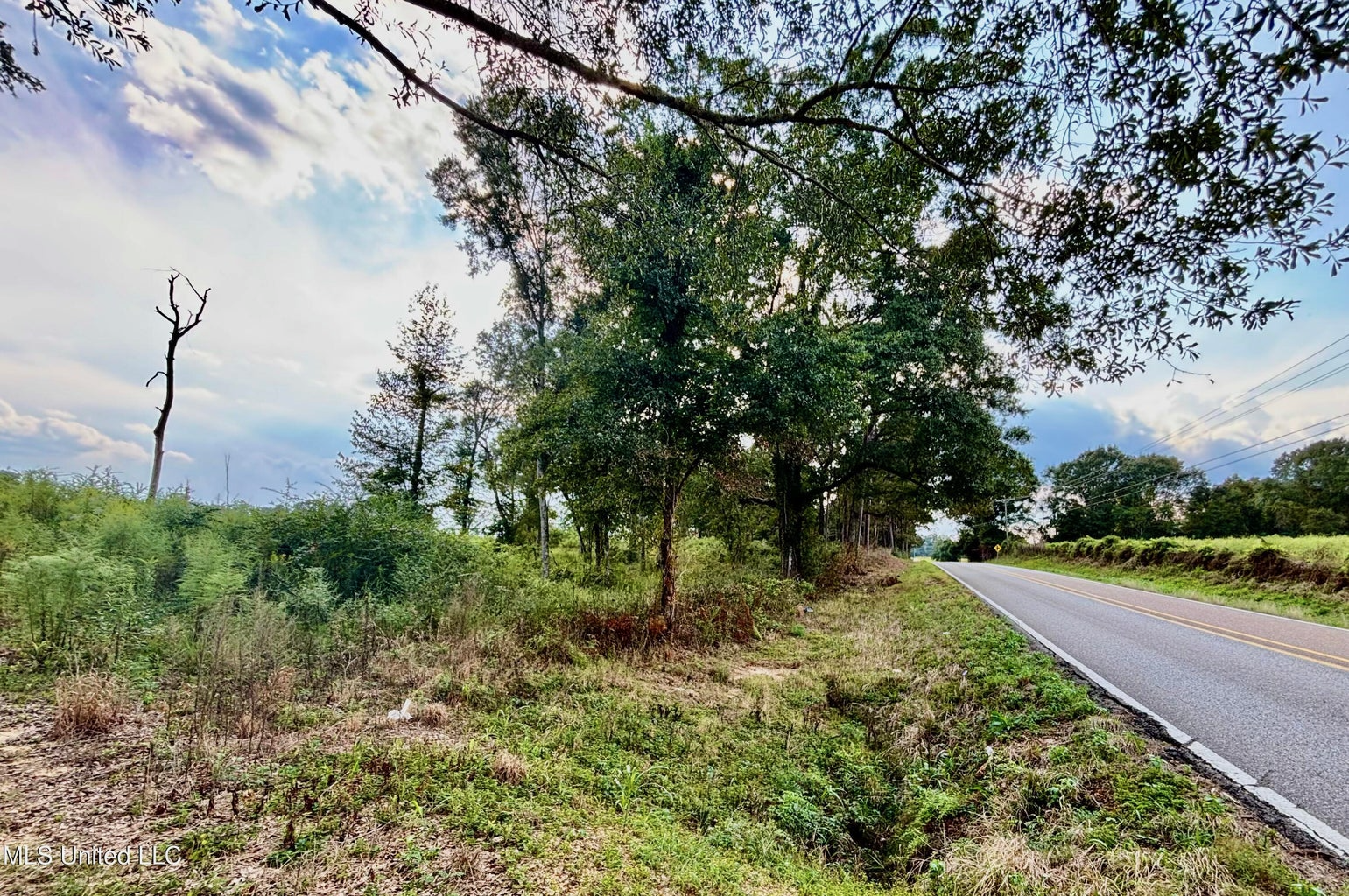 80 Acres in Walthall County