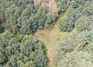 Escape to 80 acres of heavily timbered ground in Adams County