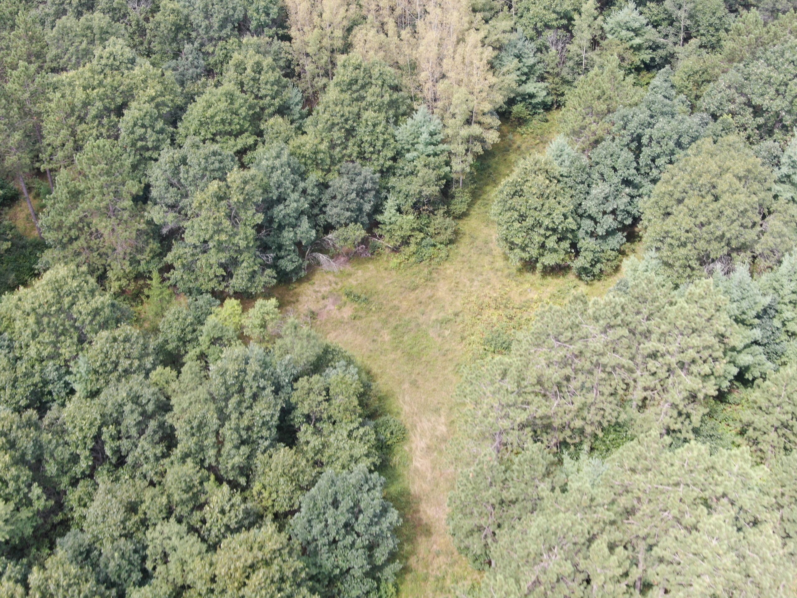 Escape to 80 acres of heavily timbered ground in Adams County