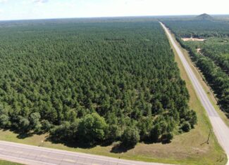 37.77-acre wooded parcel in the Town of Rome
