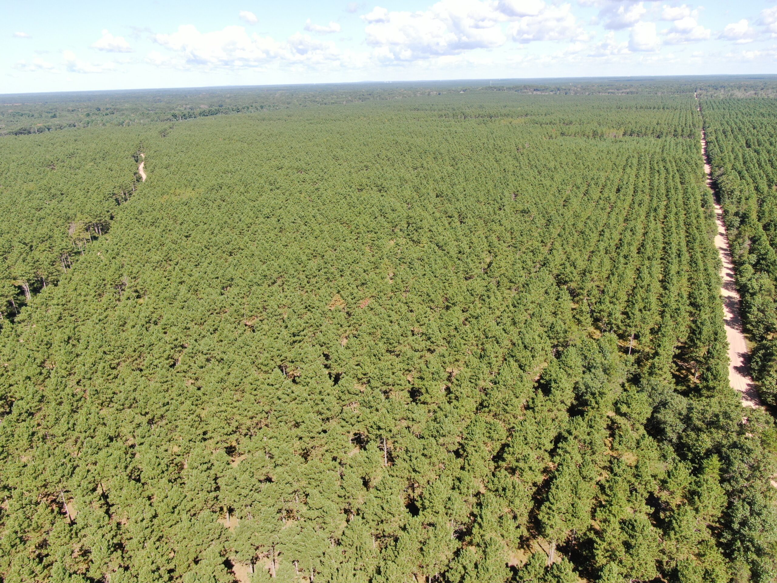40-acre wooded parcel in the Town of Rome