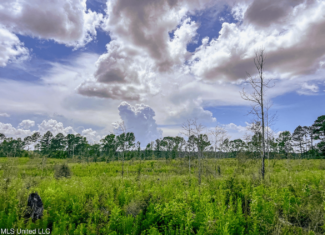 Land for Sale in Amite County, MS
