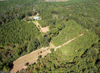 203 Acres in Smithdale MS – Turnkey Hunting Retreat