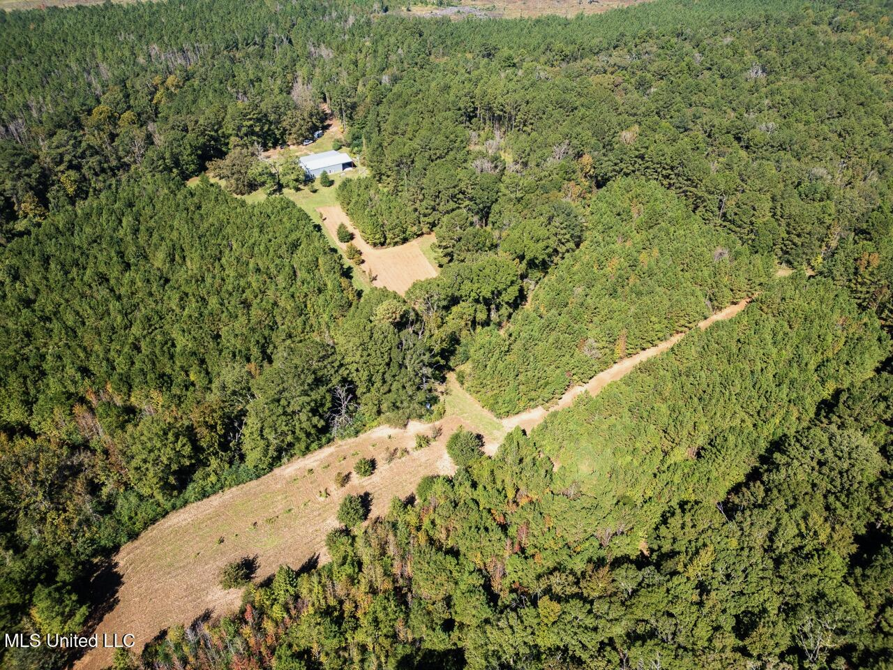 203 Acres in Smithdale MS – Turnkey Hunting Retreat