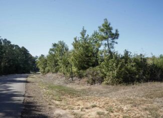 Affordable Lincoln Parish Land for Sale – Tract 4
