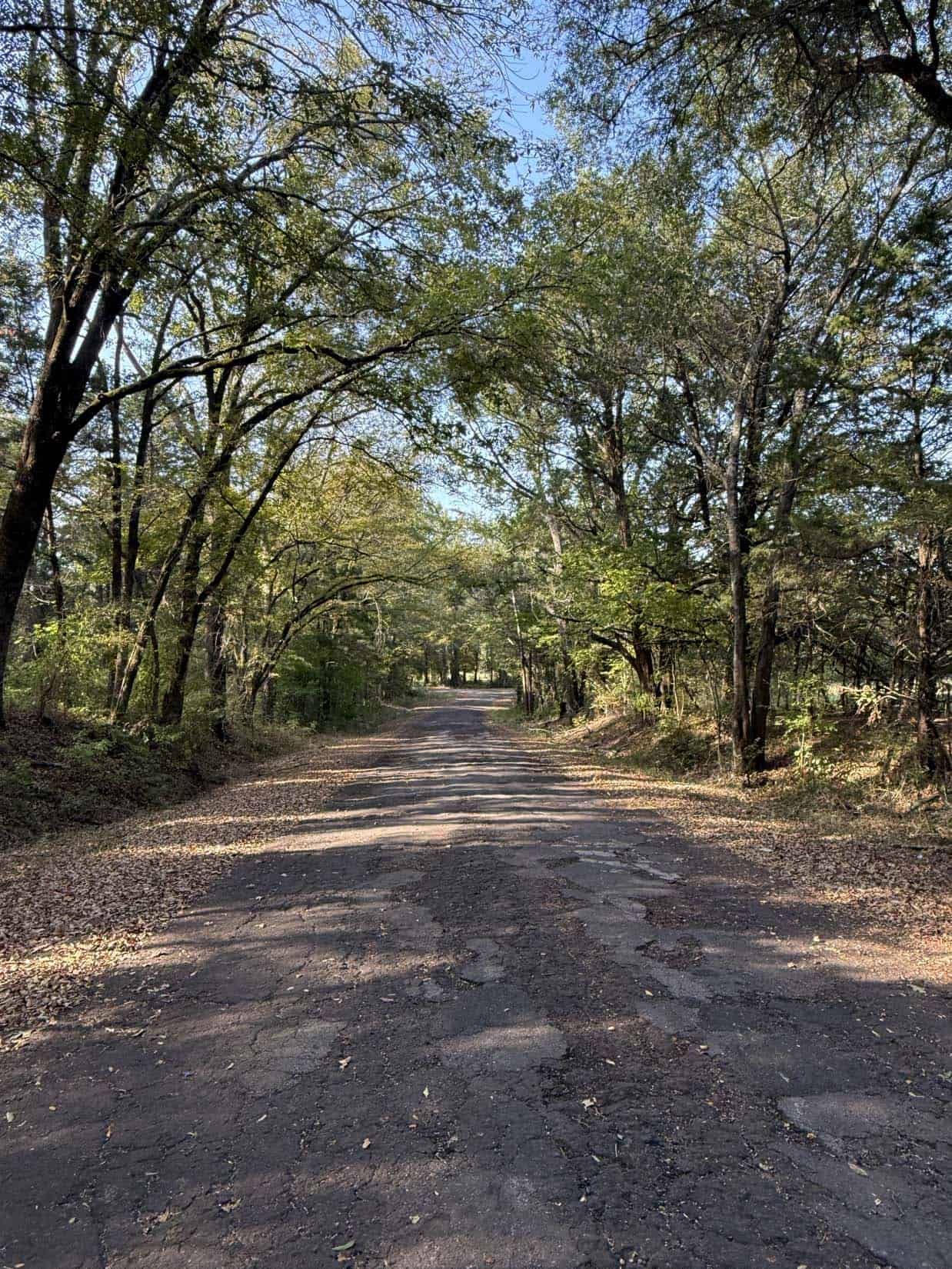 East Texas Hunting Property with Year-Round Creek in Fruitvale