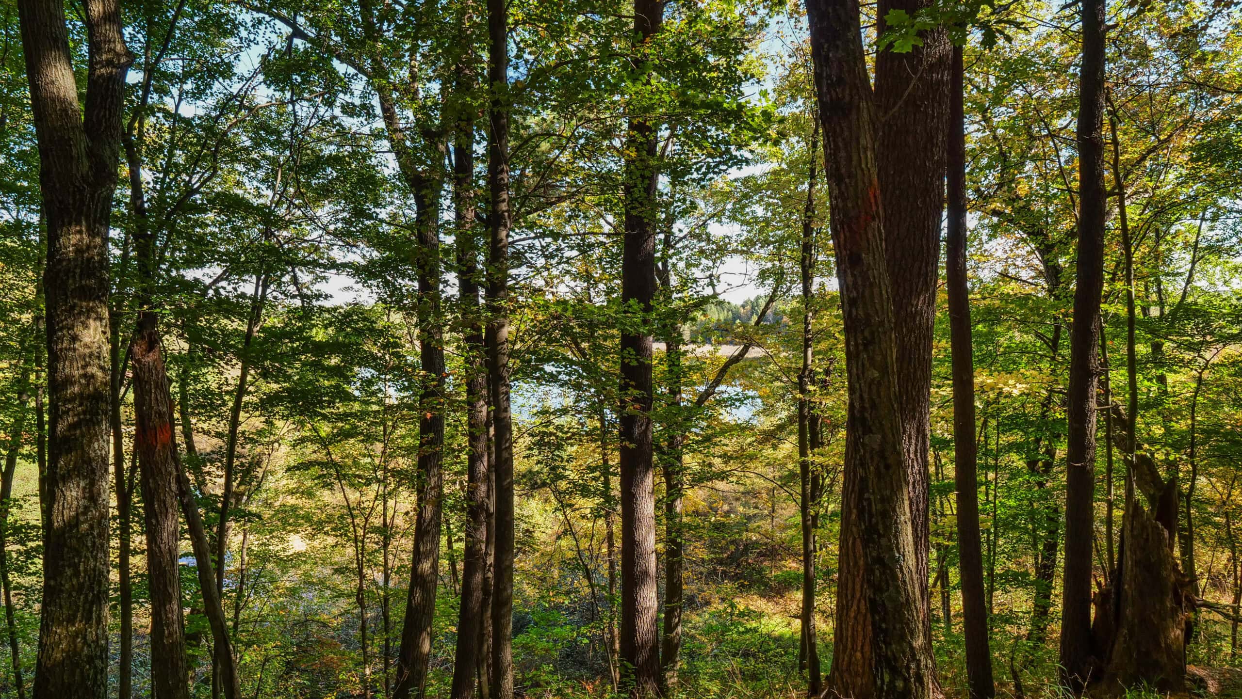 An outdoor paradise in Waupaca County WI