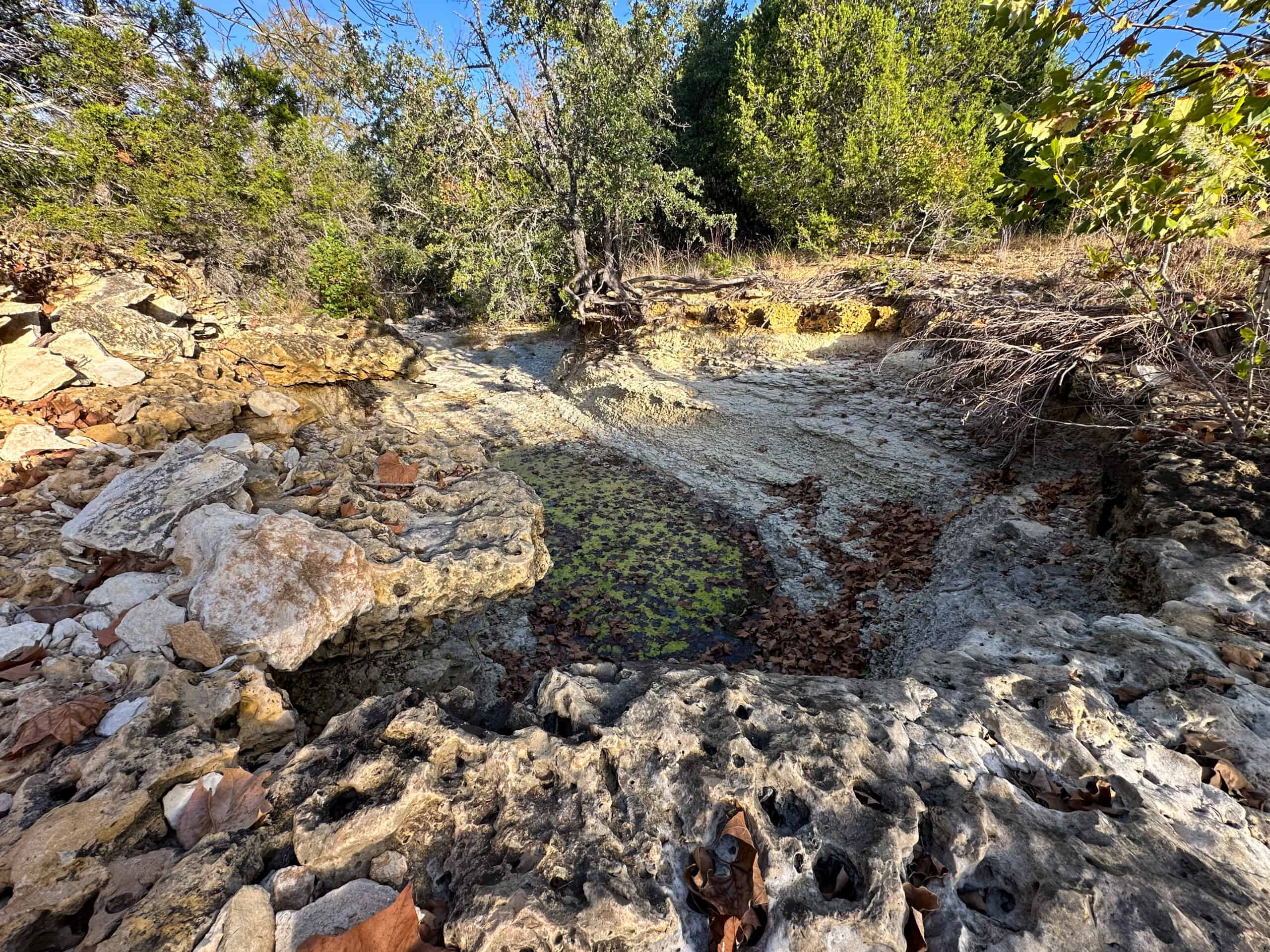 44.574 Acres of Central Texas Hunting Land for Sale