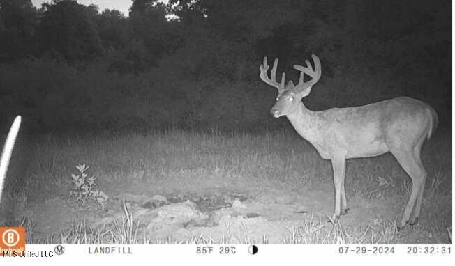 Yazoo River Hunting Tract 78.16 Acres