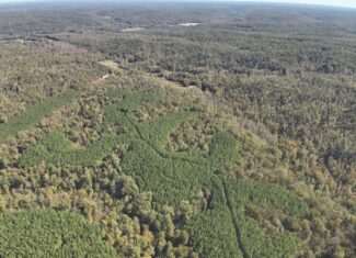 79.49 Acres Hunting and Timberland For Sale in Linden, TN