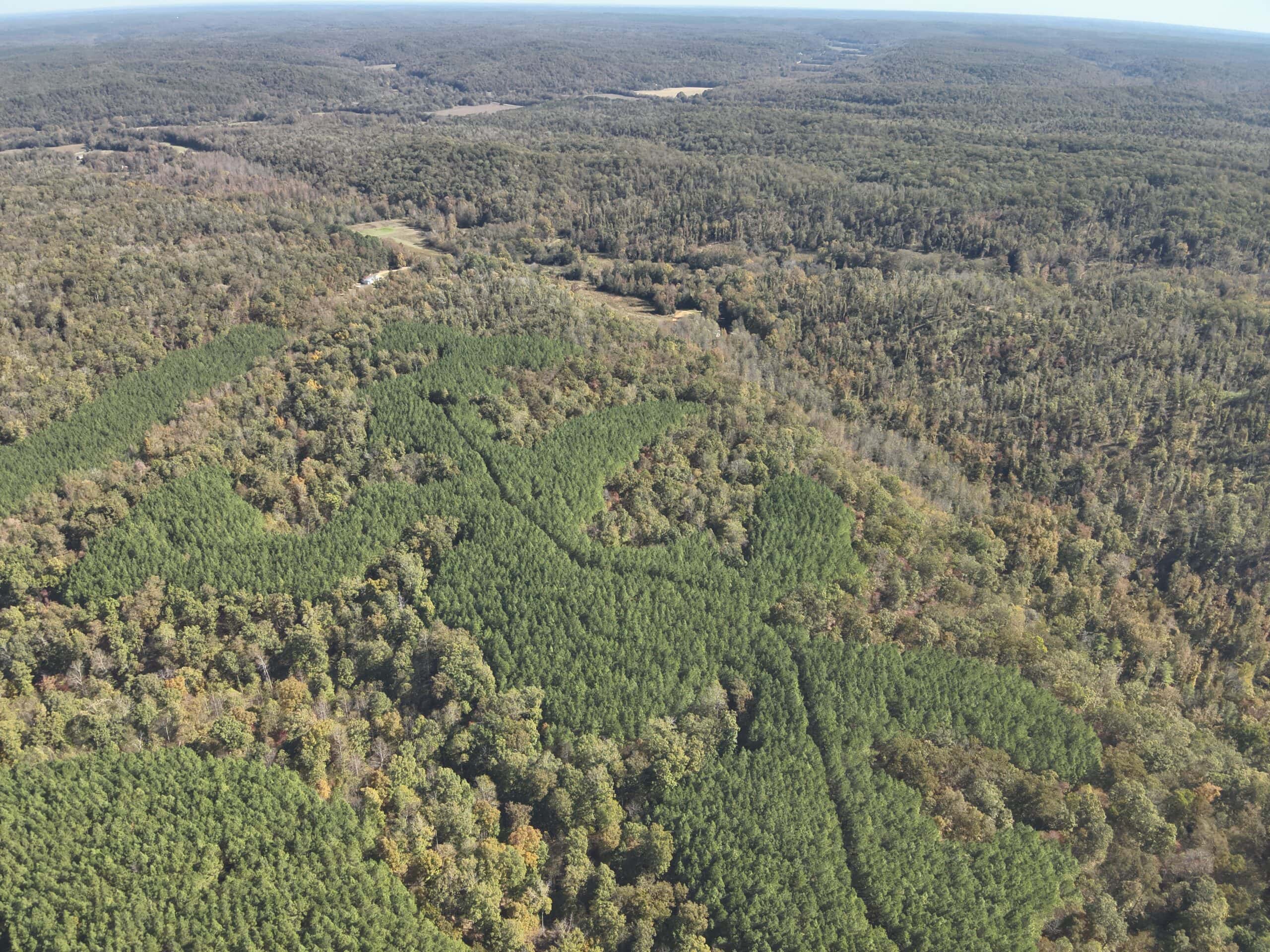 79.49 Acres Hunting and Timberland For Sale in Linden, TN