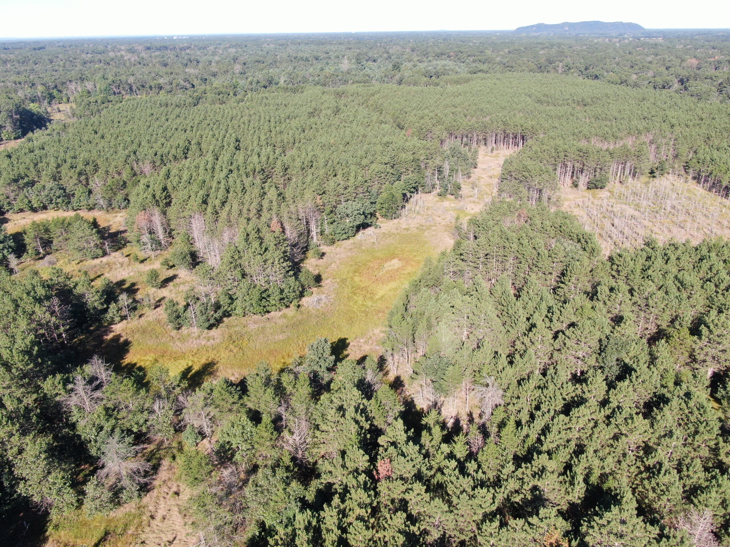80-acre timber tract in Adams County